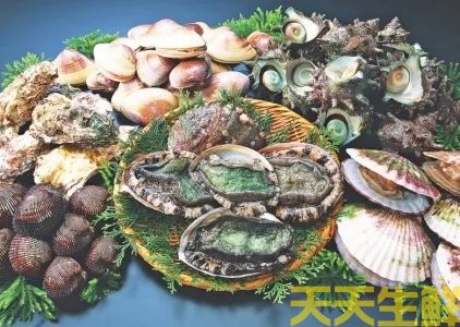 廣州送菜公司分享：常見(jiàn)的海鮮貝類有哪些？(圖1)